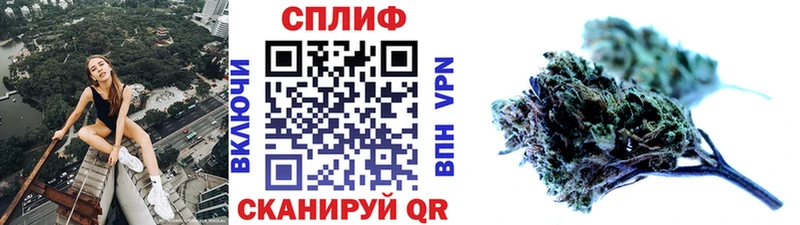 Бошки марихуана OG Kush  даркнет наркотические препараты  KRAKEN вход  Новосиль  даркнет сайт 